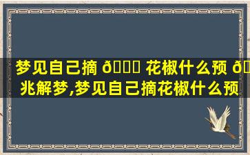 梦见自己摘 🐞 花椒什么预 🐝 兆解梦,梦见自己摘花椒什么预兆解梦女人